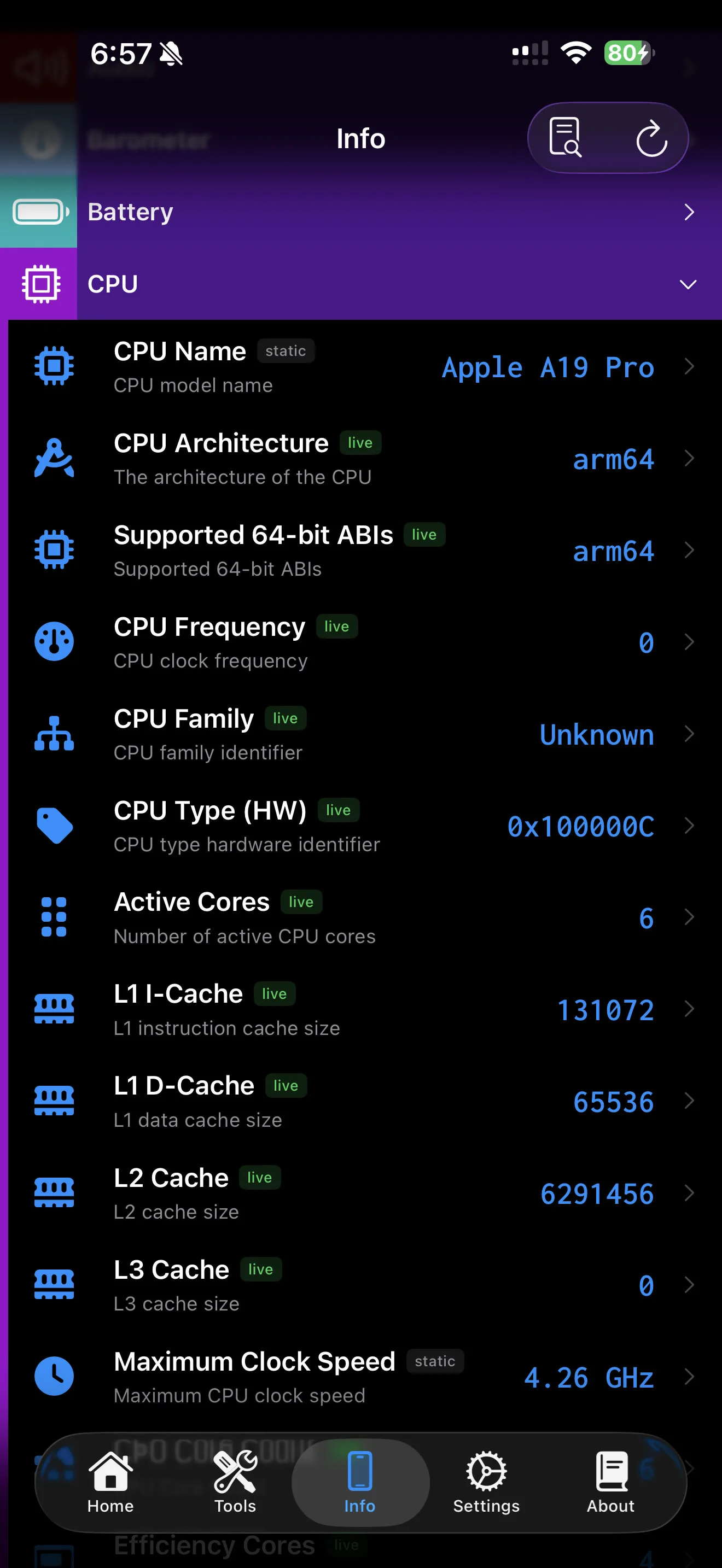 Lirum device information screen showing detailed hardware fields and model data.