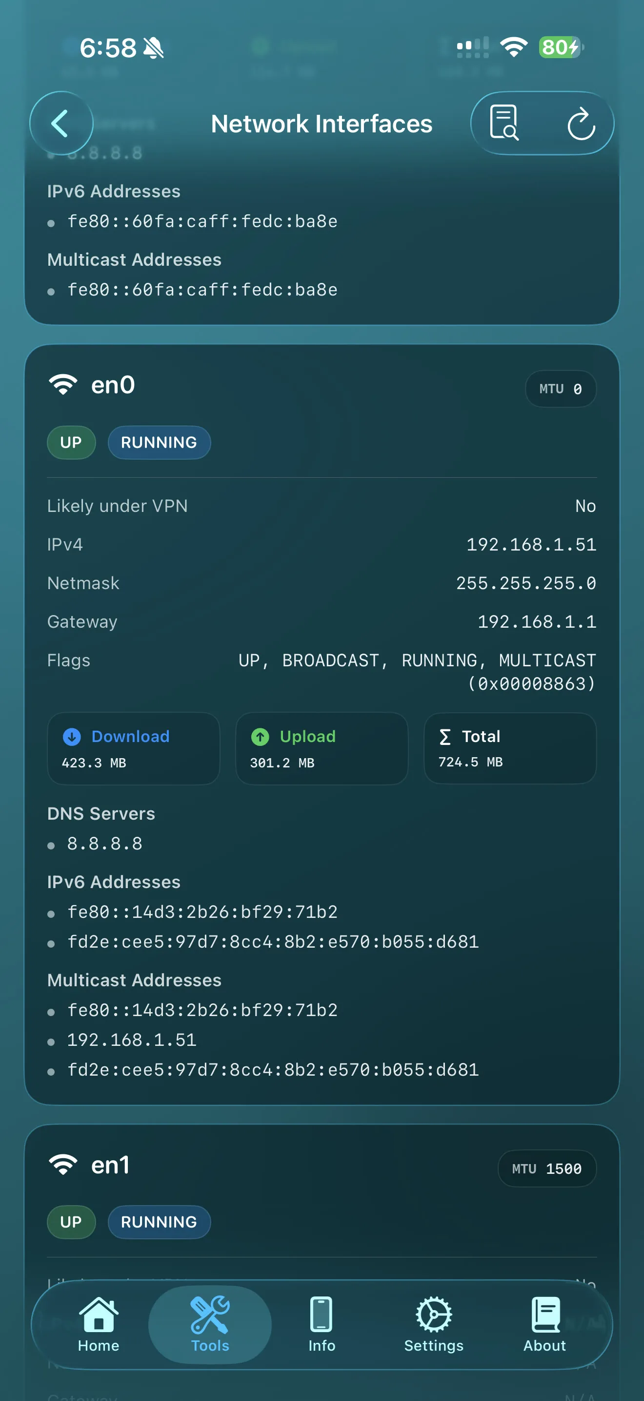 Lirum network tools screen showing interface details and live network data.